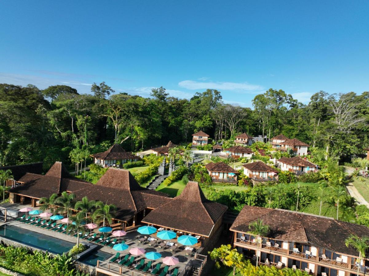 La Coralina Island House Hotel Bocas del Toro Eksteriør billede