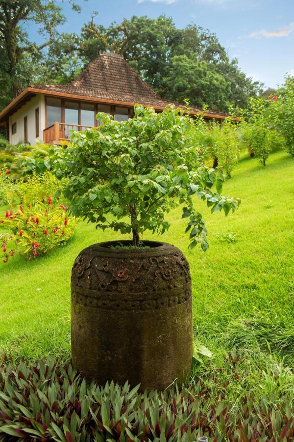La Coralina Island House Hotel Bocas del Toro Eksteriør billede
