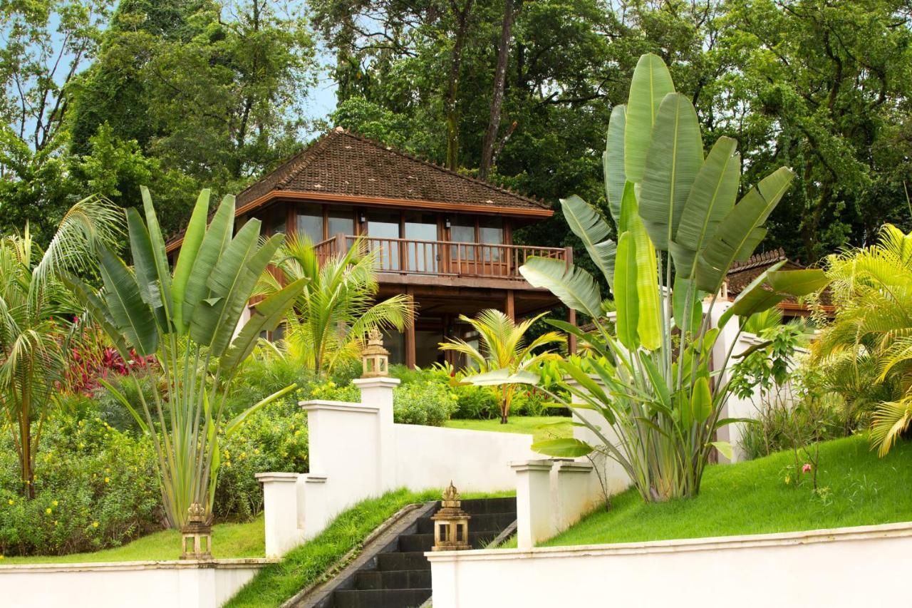 La Coralina Island House Hotel Bocas del Toro Eksteriør billede