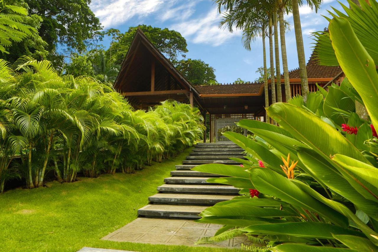 La Coralina Island House Hotel Bocas del Toro Eksteriør billede