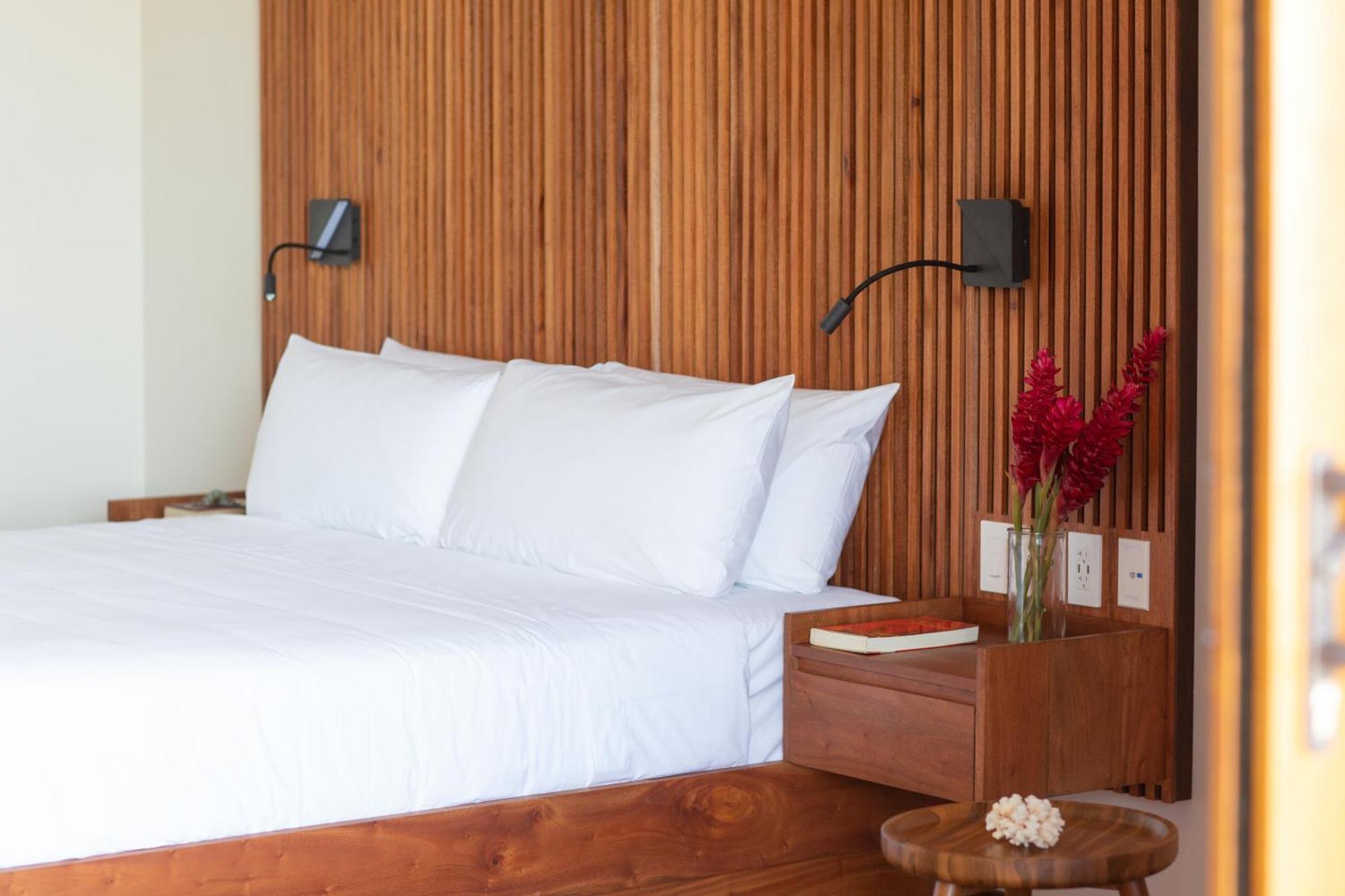 La Coralina Island House Hotel Bocas del Toro Eksteriør billede