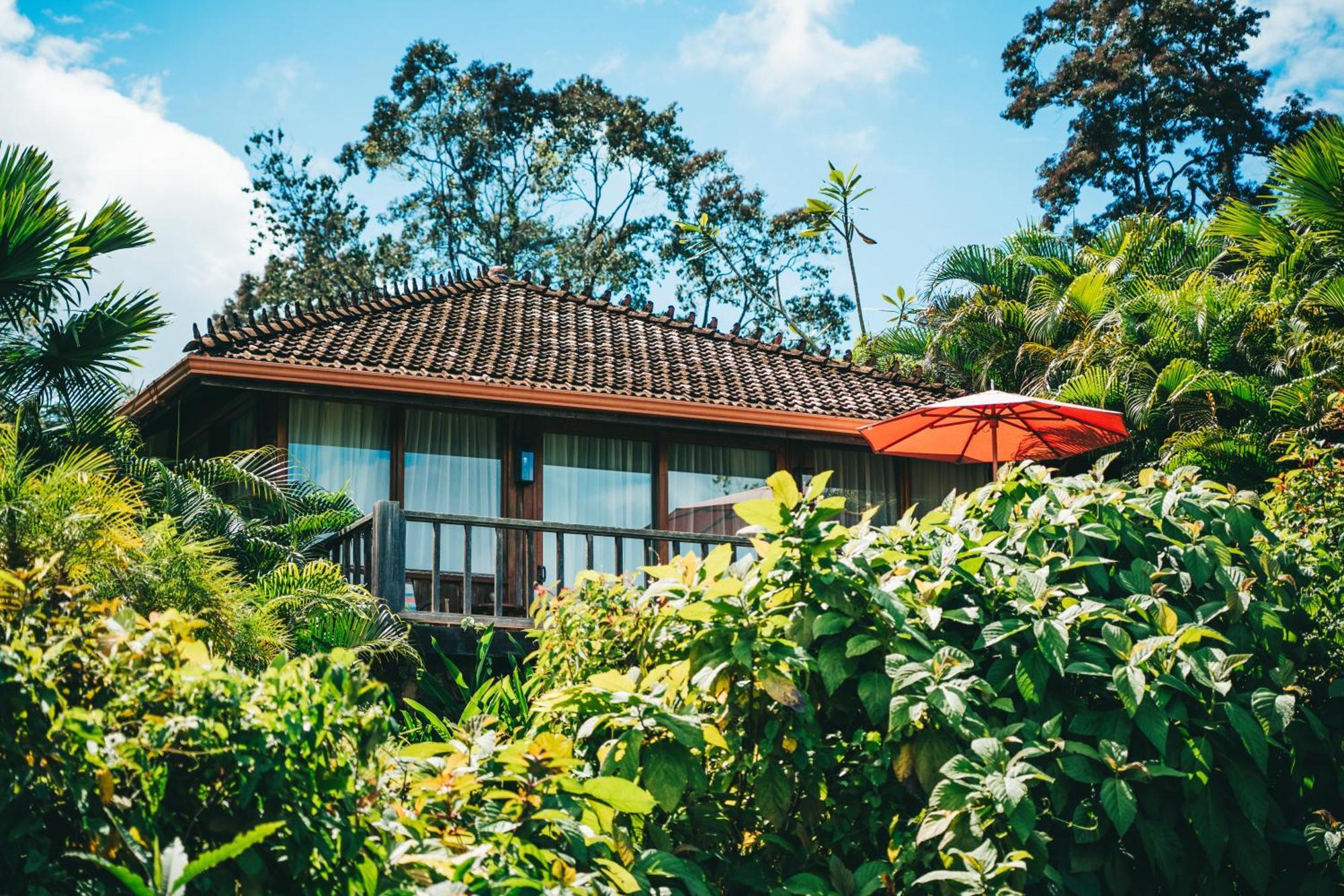 La Coralina Island House Hotel Bocas del Toro Eksteriør billede